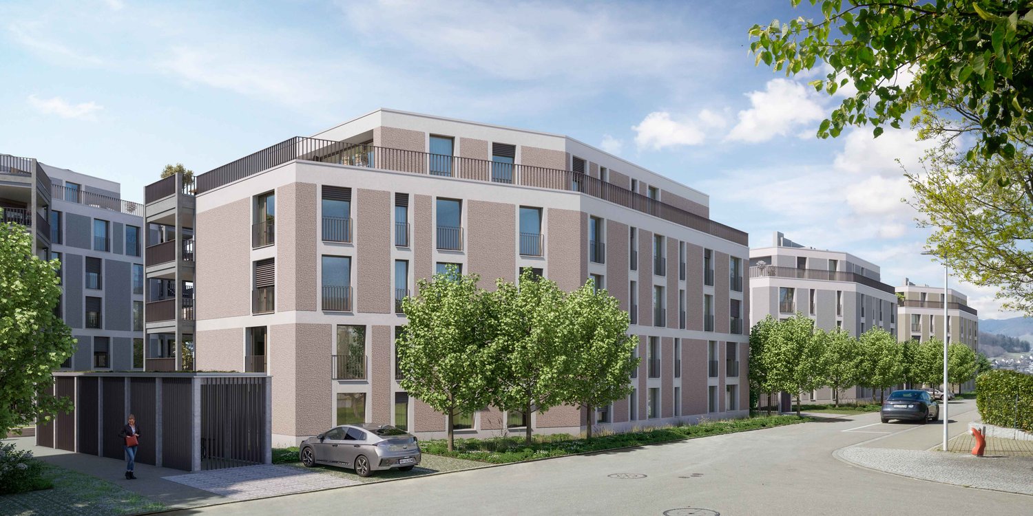 "Niderwis" in Untersiggenthal - Mis Dihei - Aussenvisualisierung