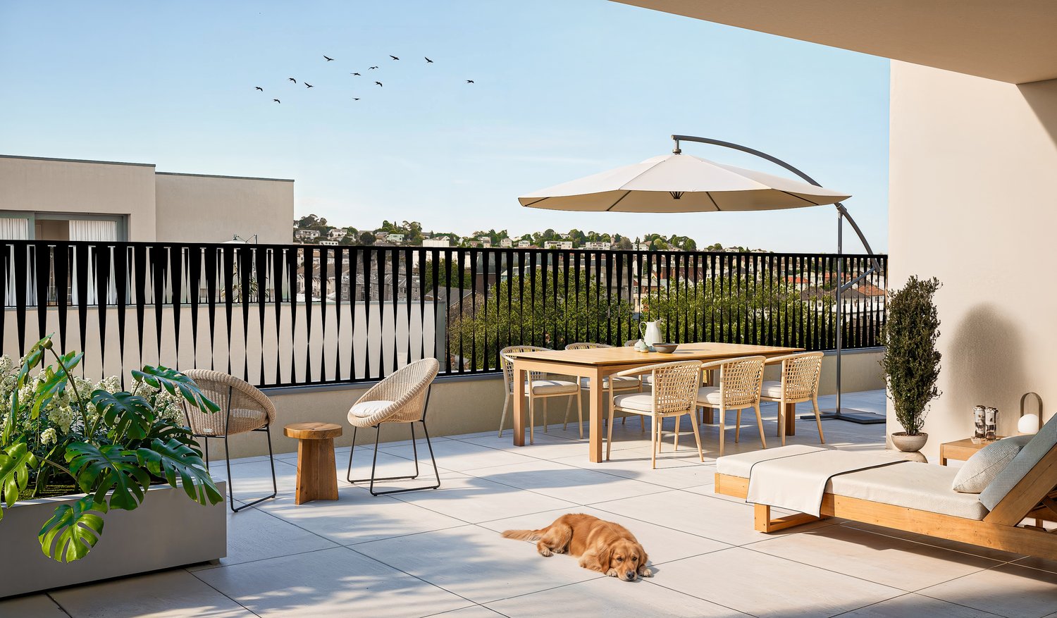 Maisonette-Penthouse mit grosser Terrasse - 3.5-Zi. Attikawohnung - Penthouse