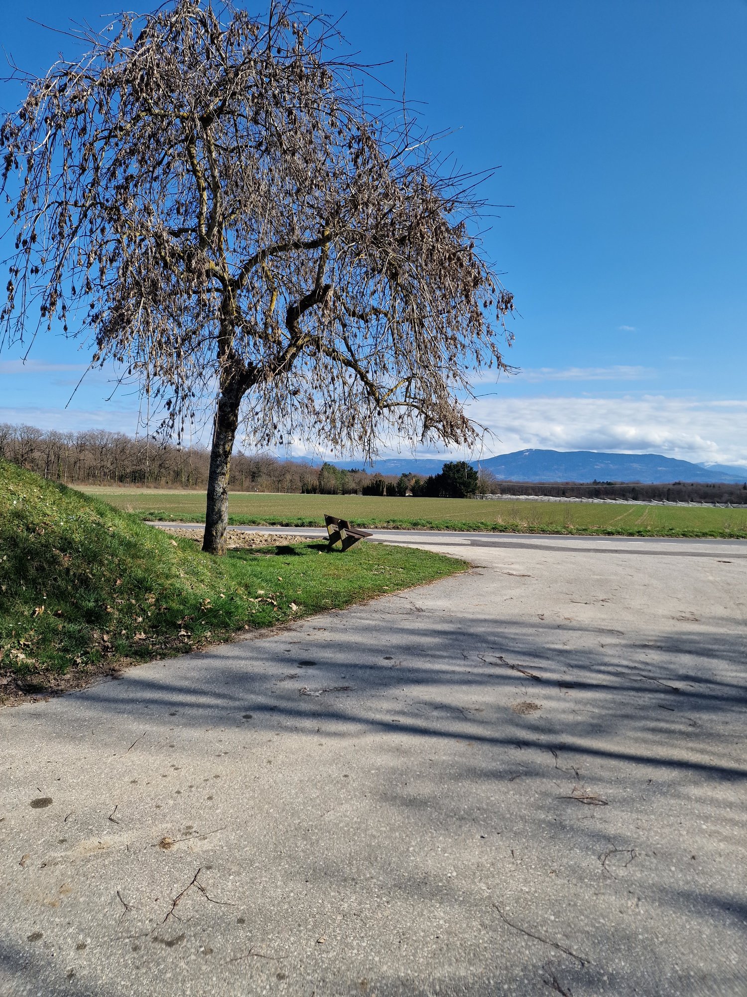 Villa contemporaine de 5.5 pièces à Chavannes-des-Bois -  Bild 8