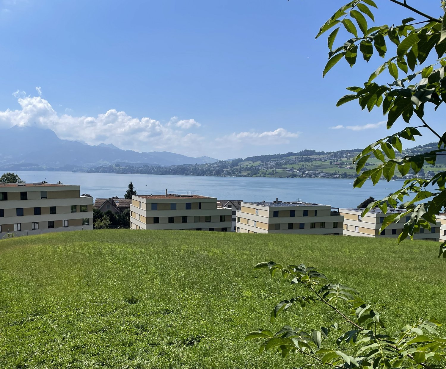 Exklusive 5.5-Zimmer-Einfamilienhäuser (DEFH) - Steinmatt am Rubibach - Bild 7