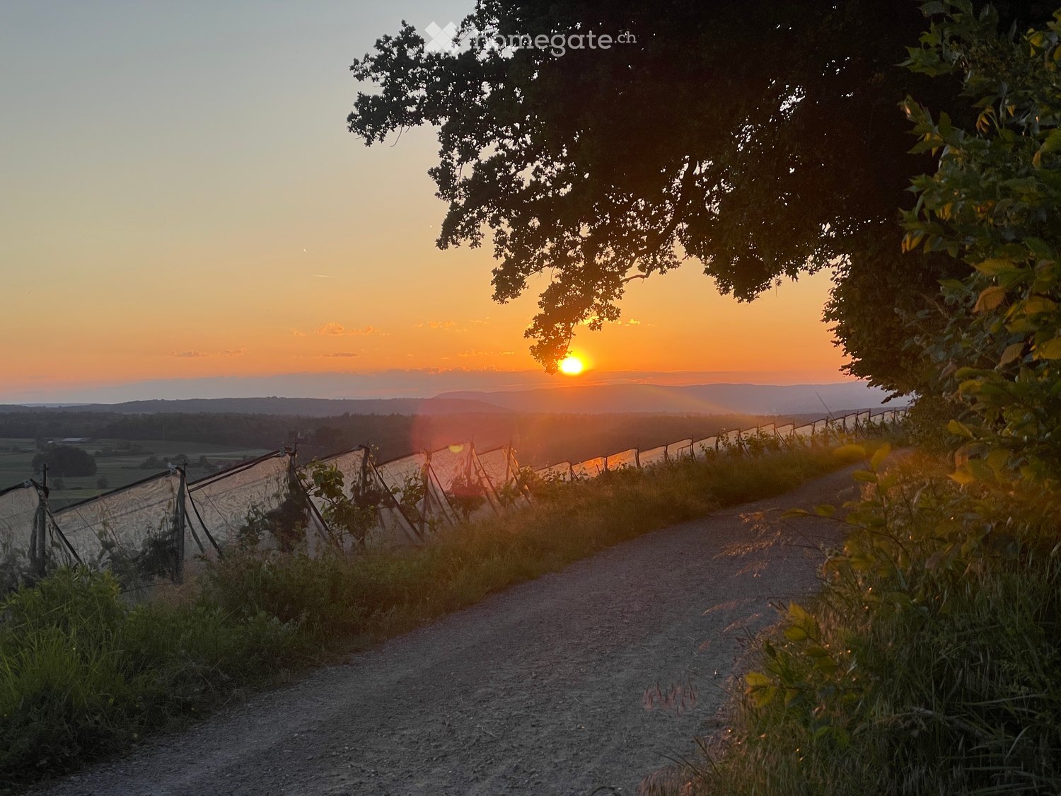 Moderne 2.5-Zimmer-Neubau-Wohnung an bester, ruhiger Lage am Rebhang in Stammheim - Bild 1