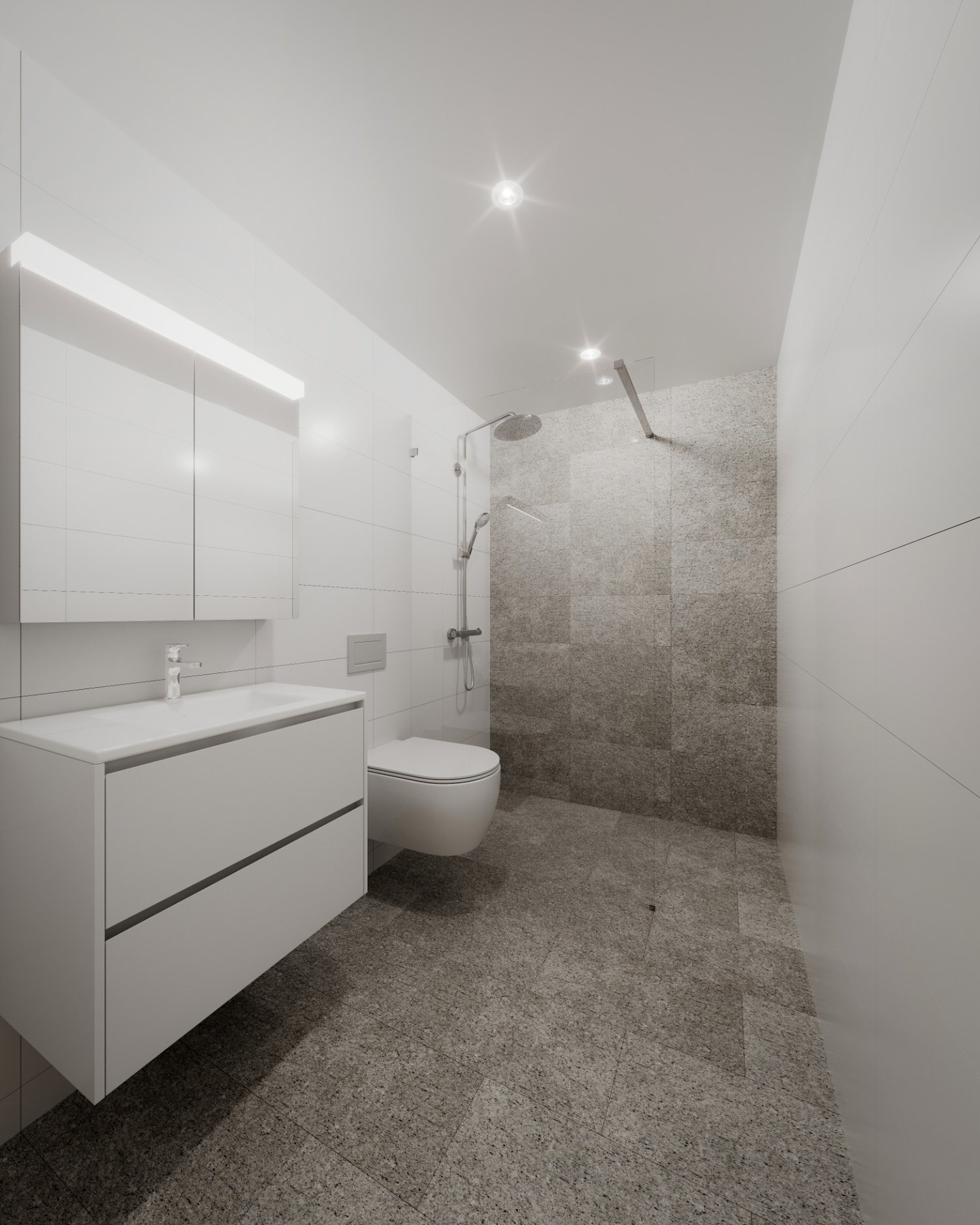 Erstbezug in Rorschach an ausgezeichneter Hanglage -  Bild 5