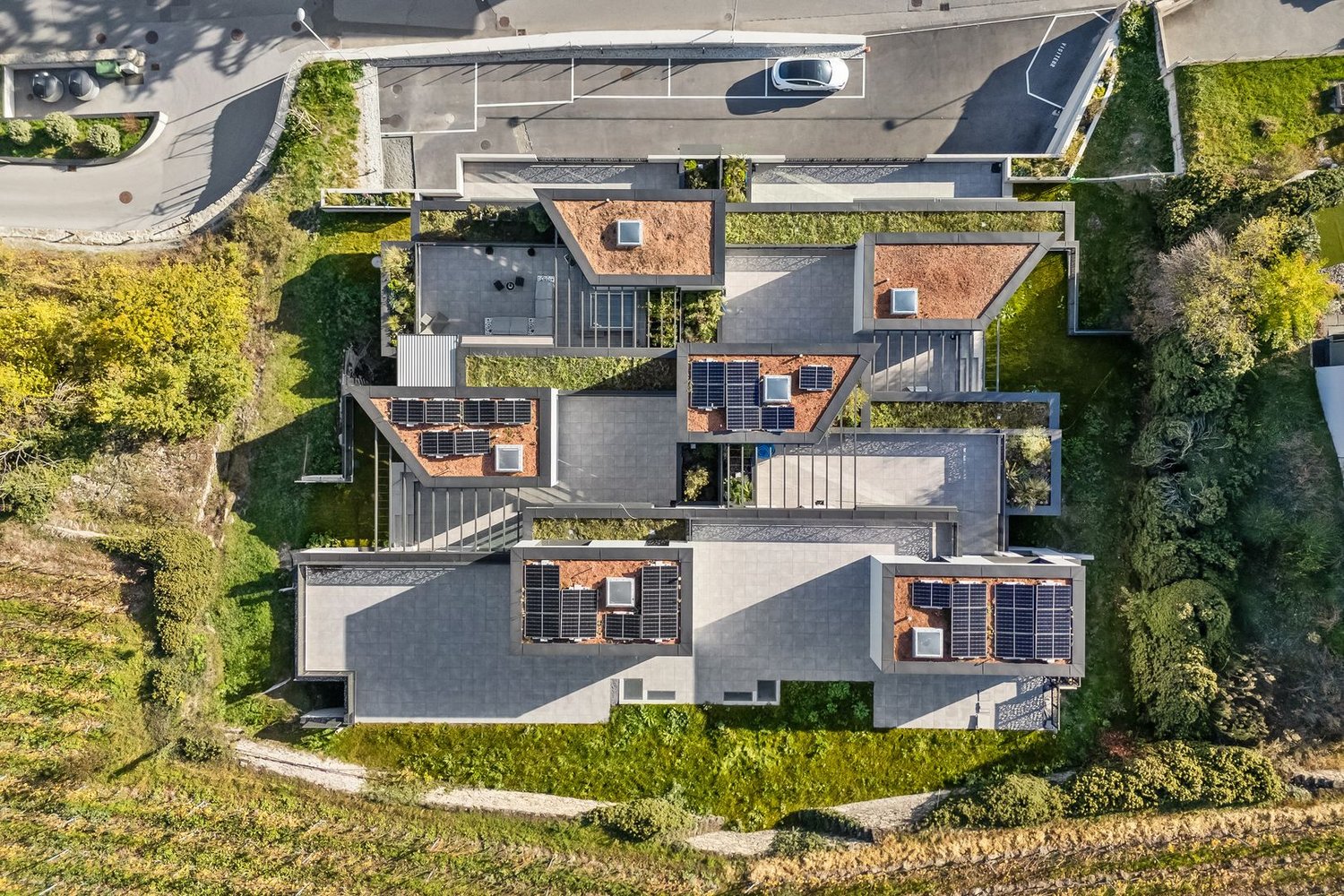 Duplex de standing au coeur des vignoblesLes Terrasses de Gravelone - Bild 3