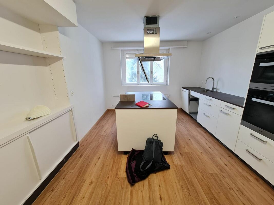 Spannendes Projekt aus Mehrfamilienhaus und grossem Gartenanteil als Baulandreserve - Bild 11