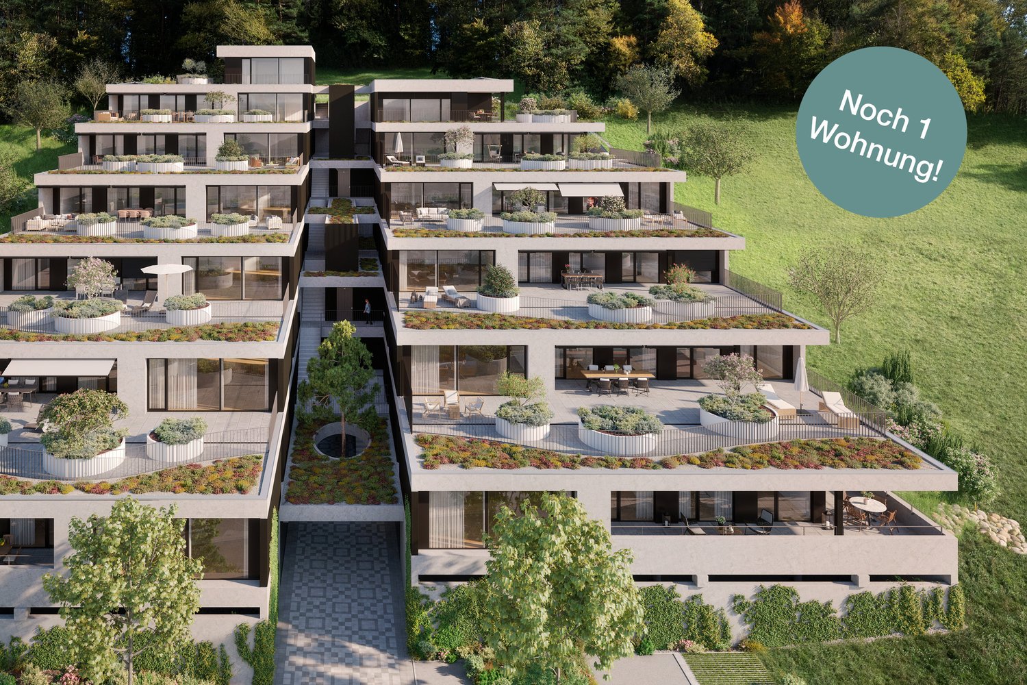 «Gartenweg» Erlinsbach - Letzte Terrassenwohnung - Aussenvisualisierung