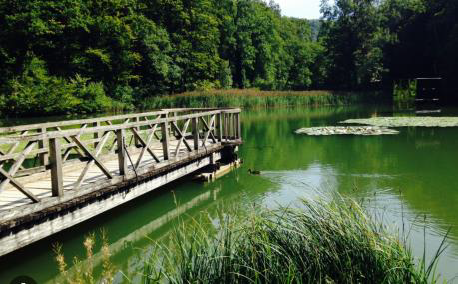 Die perfekte Gartenwohnung im besten Dorf der Schweiz -  Bild 11