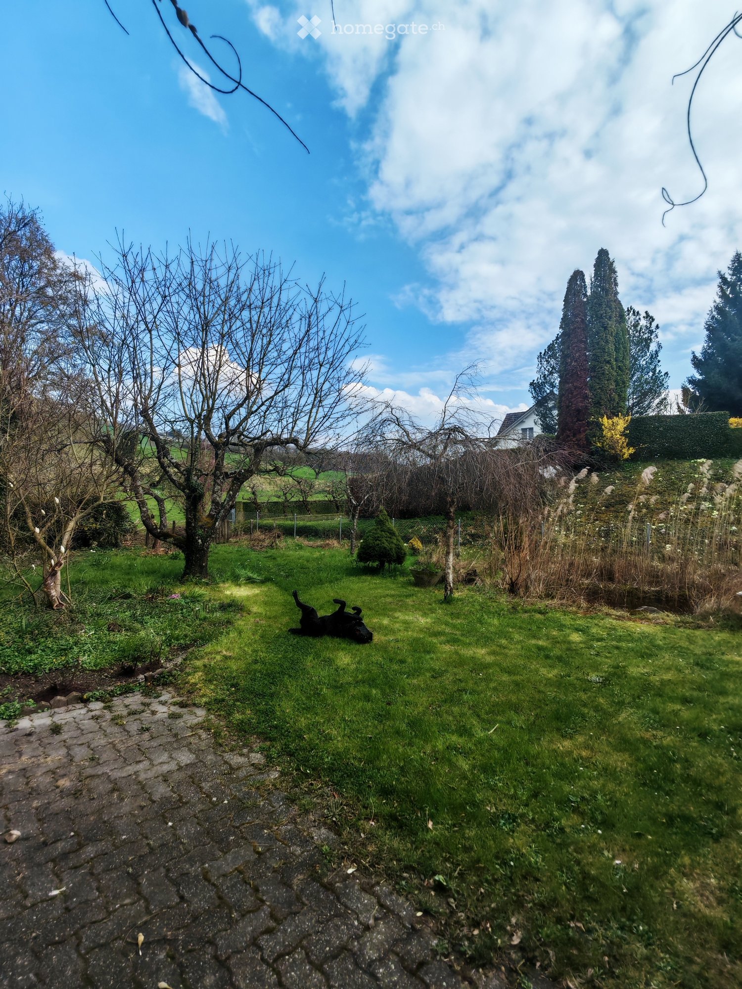 Haus mit Garten, Ausbaupotenzial & Erdwärme Künten -  Bild 1