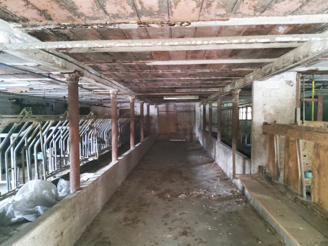 Ehemaliges Bauernhaus mit Baulandreserve und Architekturverpflichtung - Ehemaliges Bauernhaus Gotthelfstrasse 25, 3437 Utzenstorf