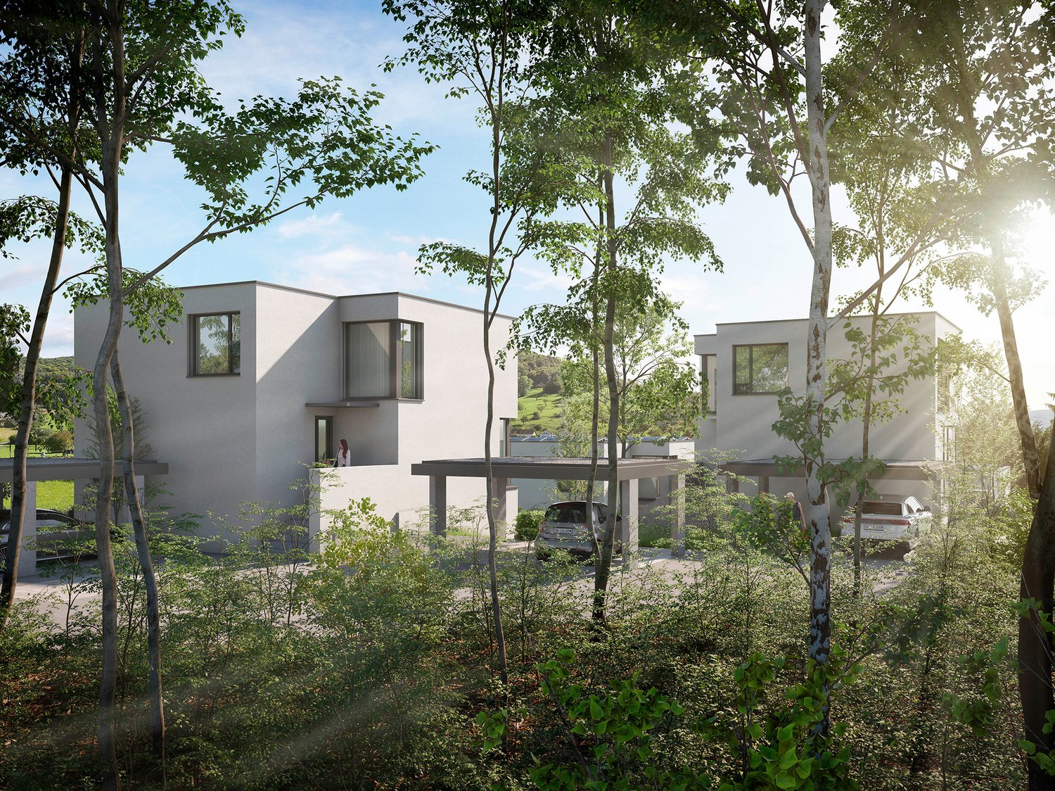 Neubau-Einfamilienhaus mit Weitblick (Haus 2) in Münchenstein - Bild 4