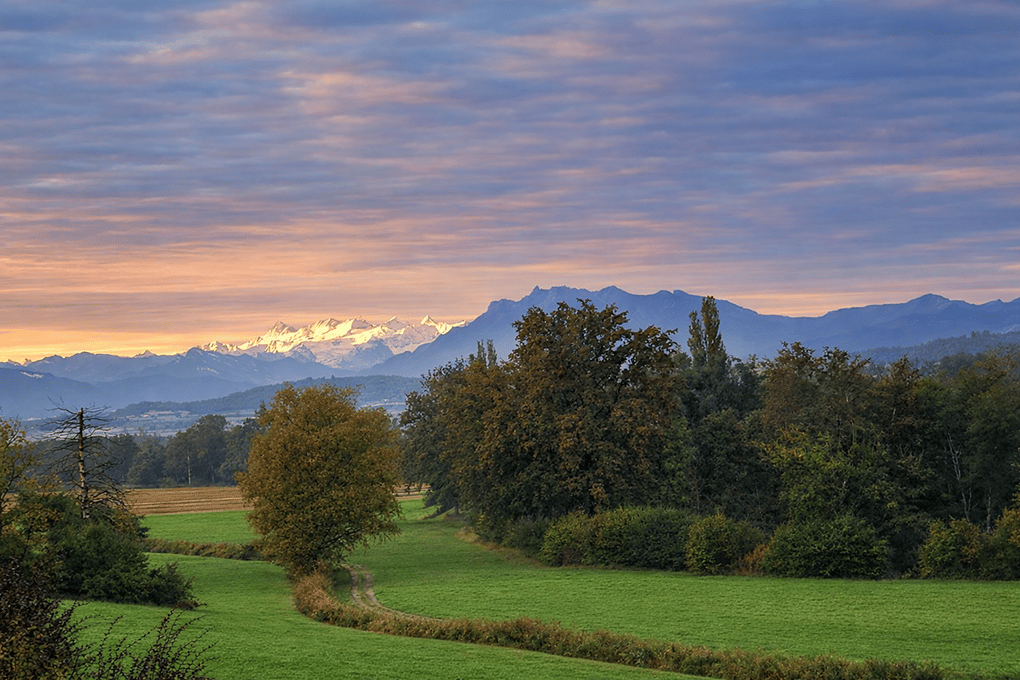 Neubau: Hochwertige 2.5-Zimmer Wohnung  mit Bergsicht - Bild 6