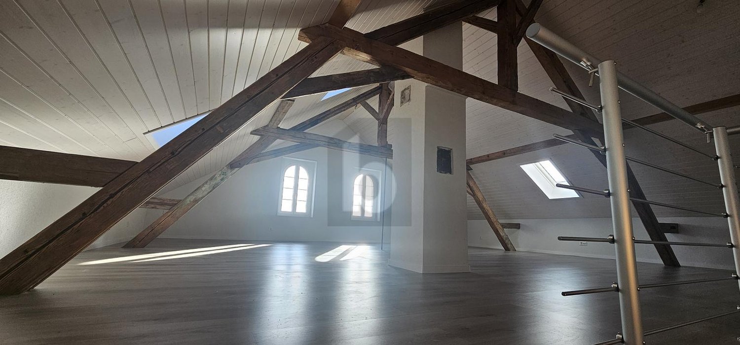 POUR INVESTISSEUR AVEC UN ÉNORME POTENTIEL -  Bild 4