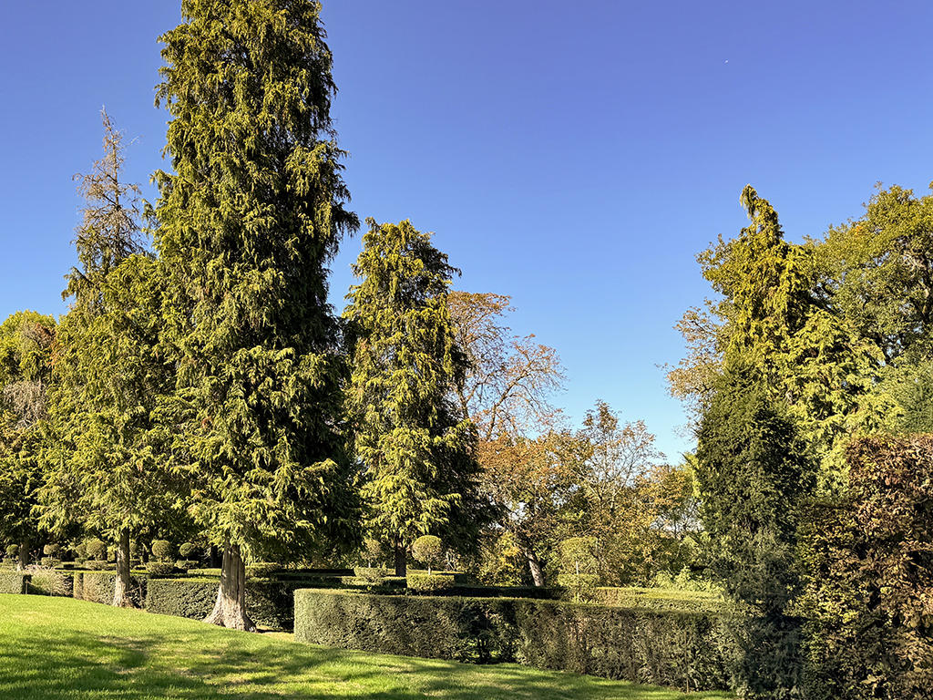 OPPORTUNITÀ CON RENDIMENTO MOLTO INTERESSANTE - SPECIALE INVESTITORI - Bild 1