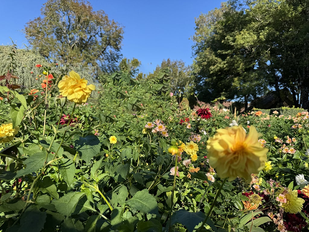 NOUVELLE PROMOTION - Appartements neufs avec terrasses et vue panoramique sur le lac - Bild 3