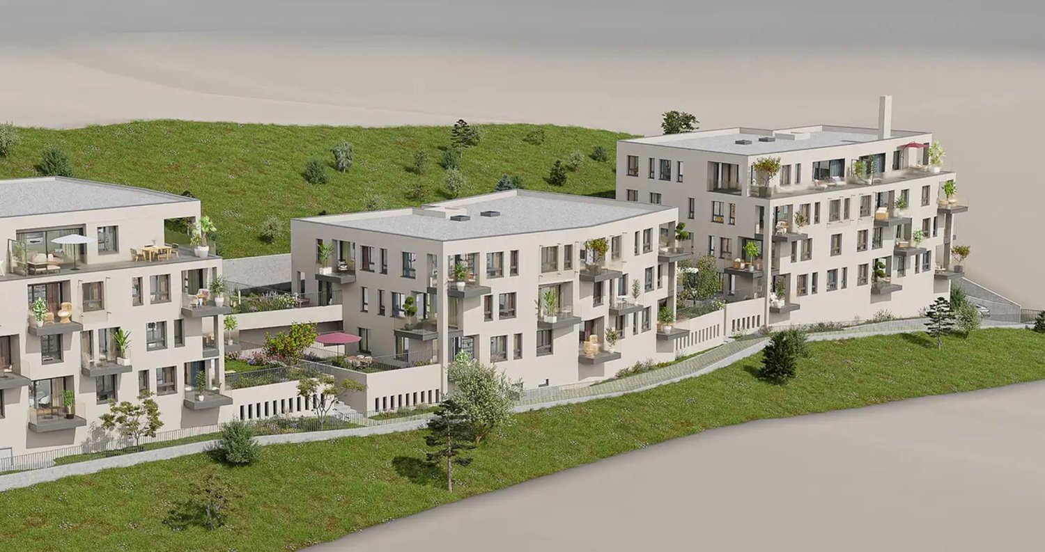 Découvrez notre projet BACCHUS - Bild 5