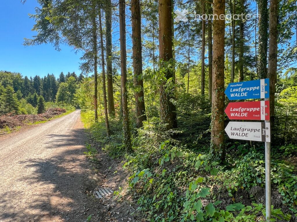 Familienfreundliche Weitsicht ins Grüne -  Bild 4