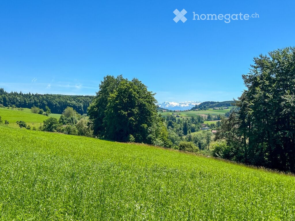 Familienfreundliche Weitsicht ins Grüne -  Bild 6