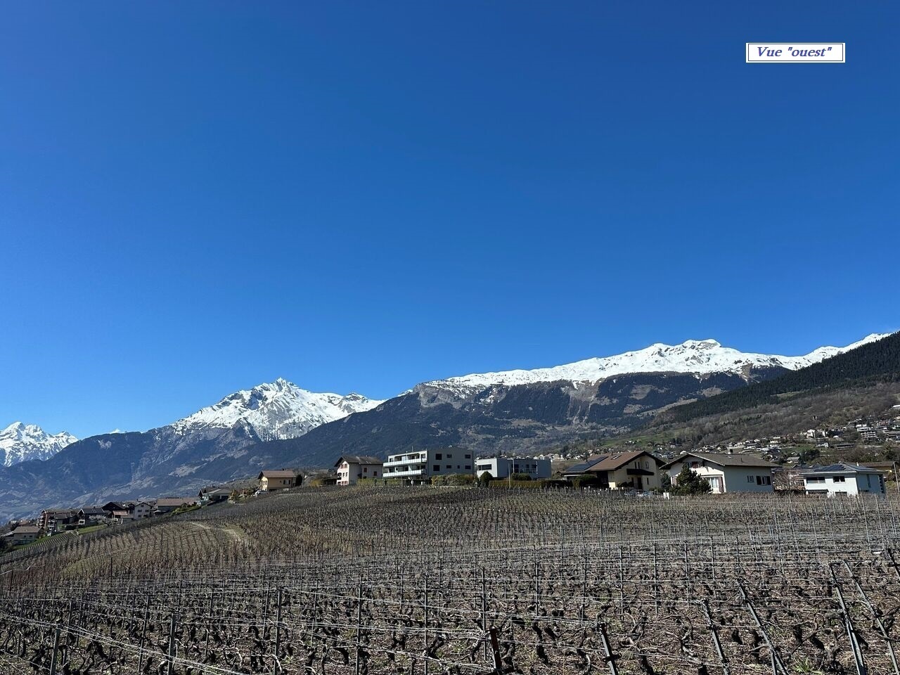 Nouvelle résidence "Lentine" - Vue ouest