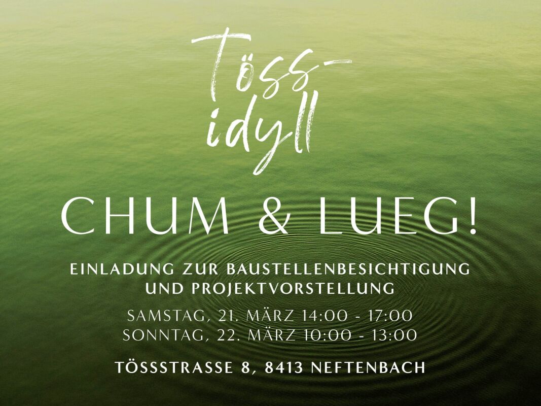 2½-Zimmer Attikawohnung im Tössidyll - Bild 1