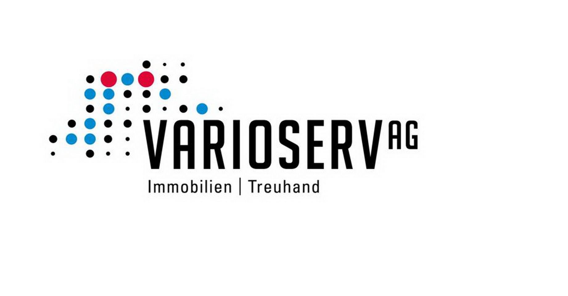 Varioserv AG Logo