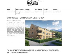 Projekt_-_Bachwiese