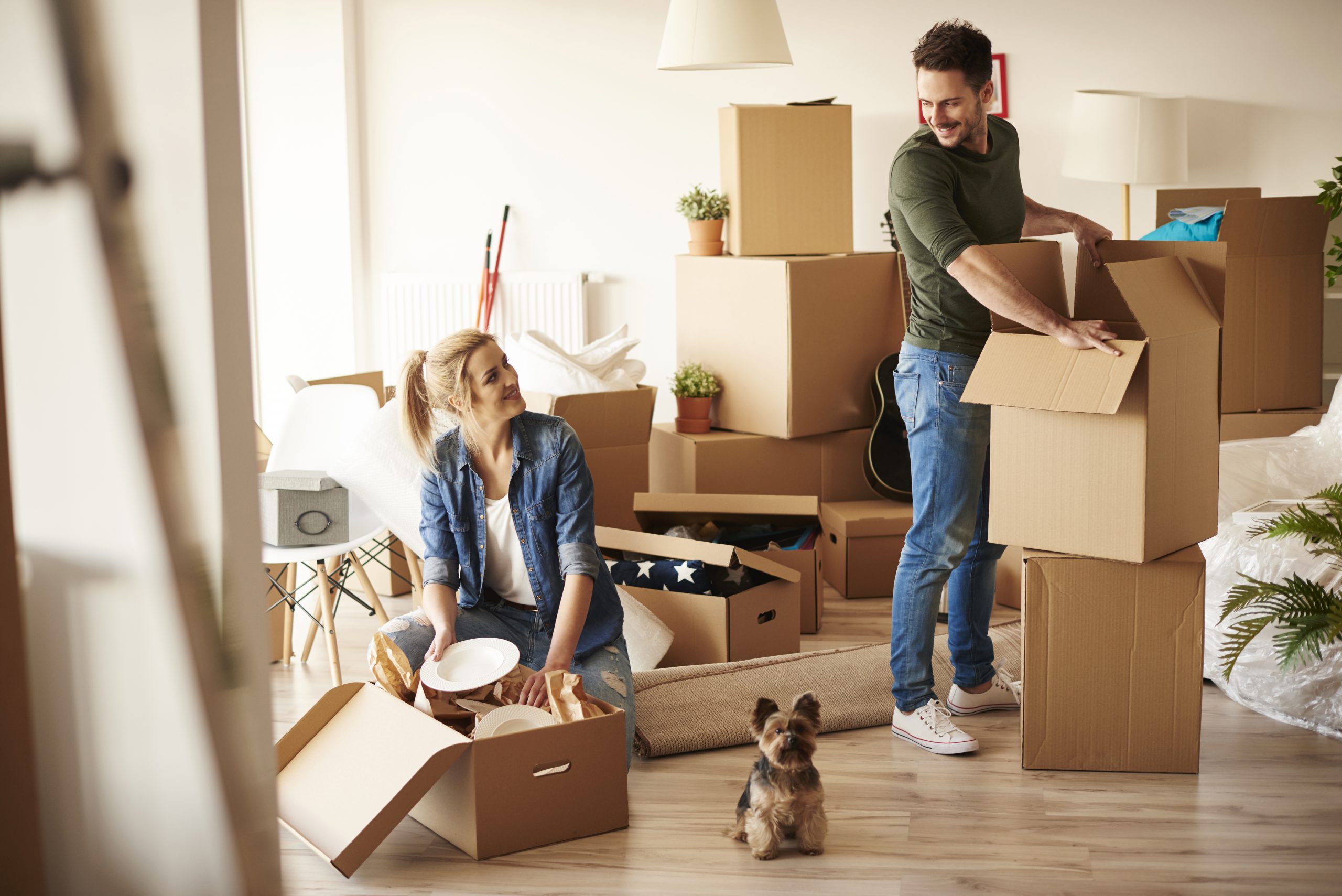 Neubau 4.5 Zimmer Eigentumswohnung 1.OG - 547444582