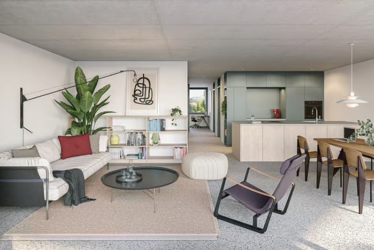 attraktive 5.5 Zimmer-Maisonette-Attikawohnung - Basel, Birsstrasse, Wohnzimmer. 2