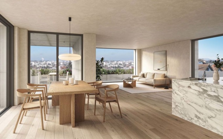 attraktive 5.5 Zimmer-Attikawohnung - Bottmingen, Sichelweg wohnzimmer