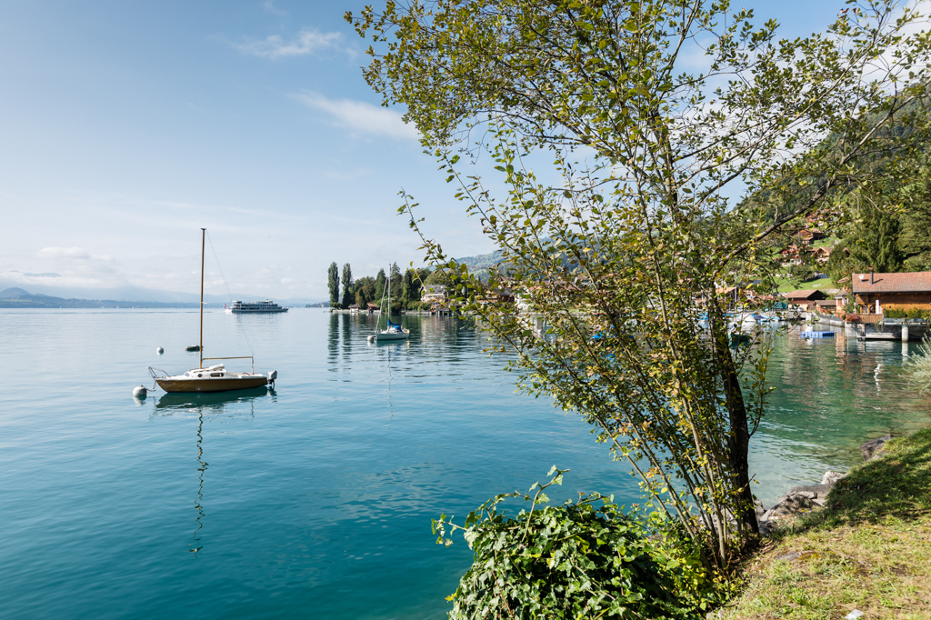 Rivulet – Small Luxury Houses in Merligen - Merligen