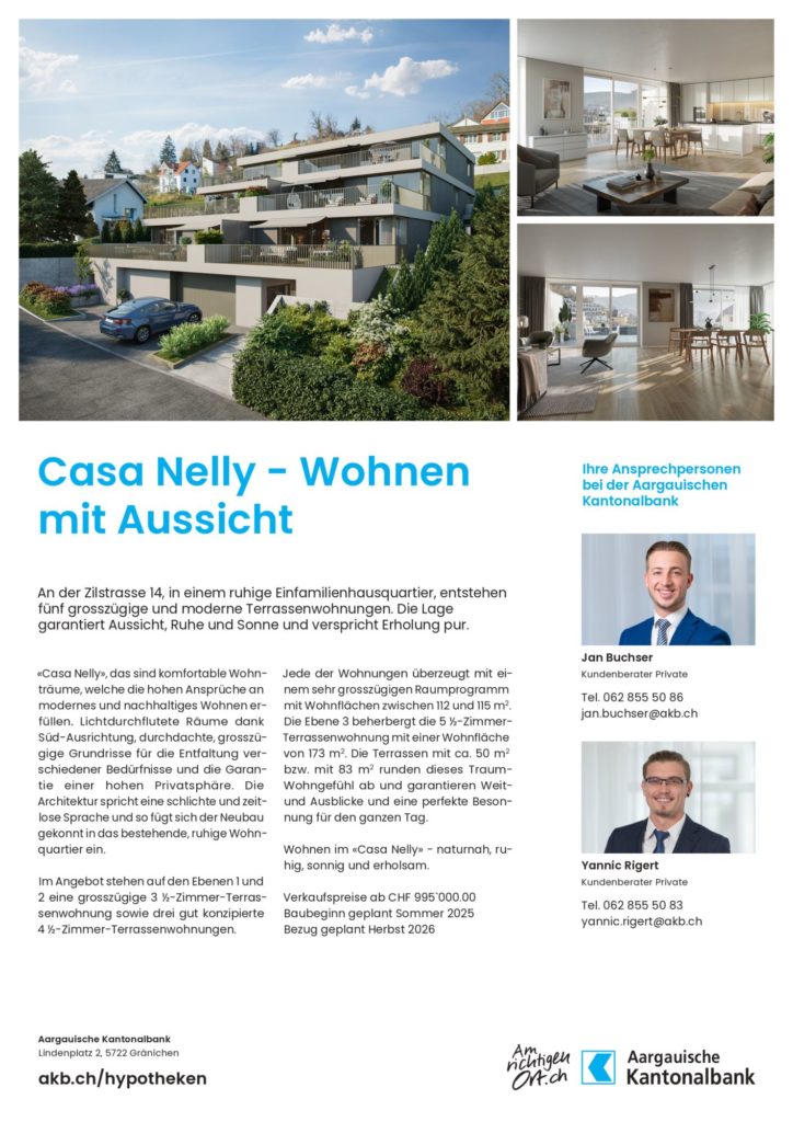 Neubau 4 1/2-Zimmer-Terrassenwohnung - Bild 10