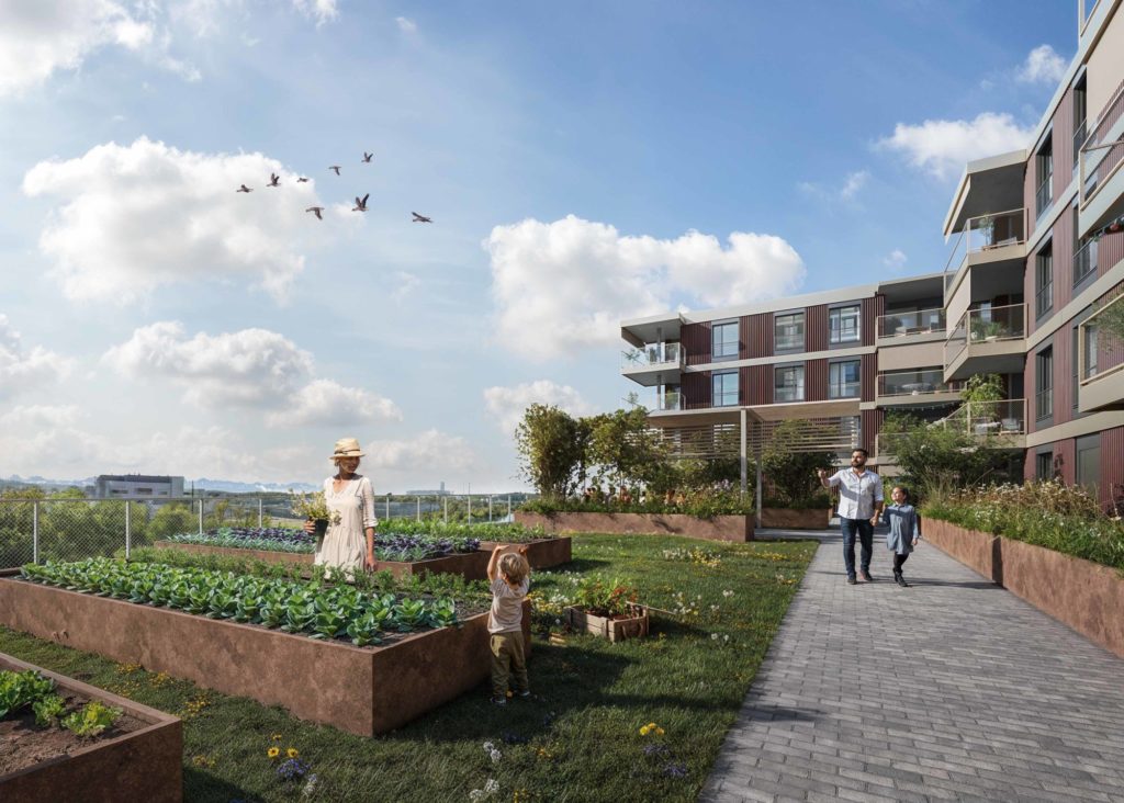 Eigentumswohnungen im Lagerhaus Attisholz - 113309_Dachgarten_AP_02_V01