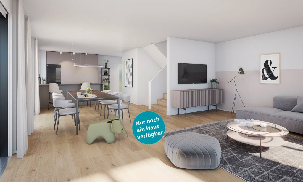 Am Mettlenbach - letzte Haushälfte in Mönchaltorf - Swiss Interactive Visualisierung