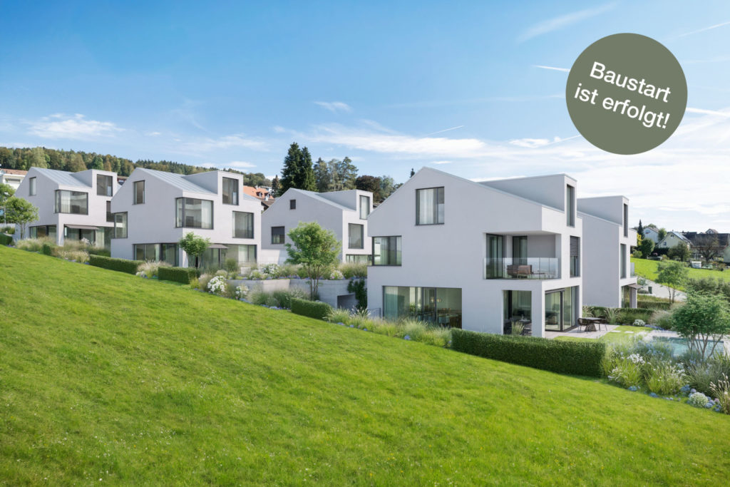 Natur. Weitsicht. Zuhause. «LIORA» in Remetschwil - Aussenvisualisierung