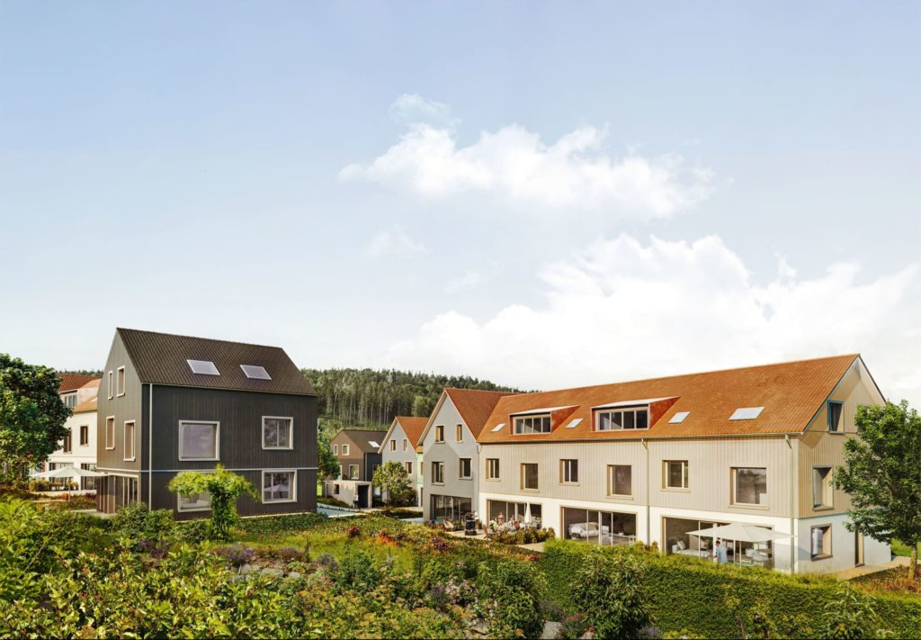 PREISANPASSUNG - R-EFH AB CHF 920'000 - Visualisierung Ernteblick (3)