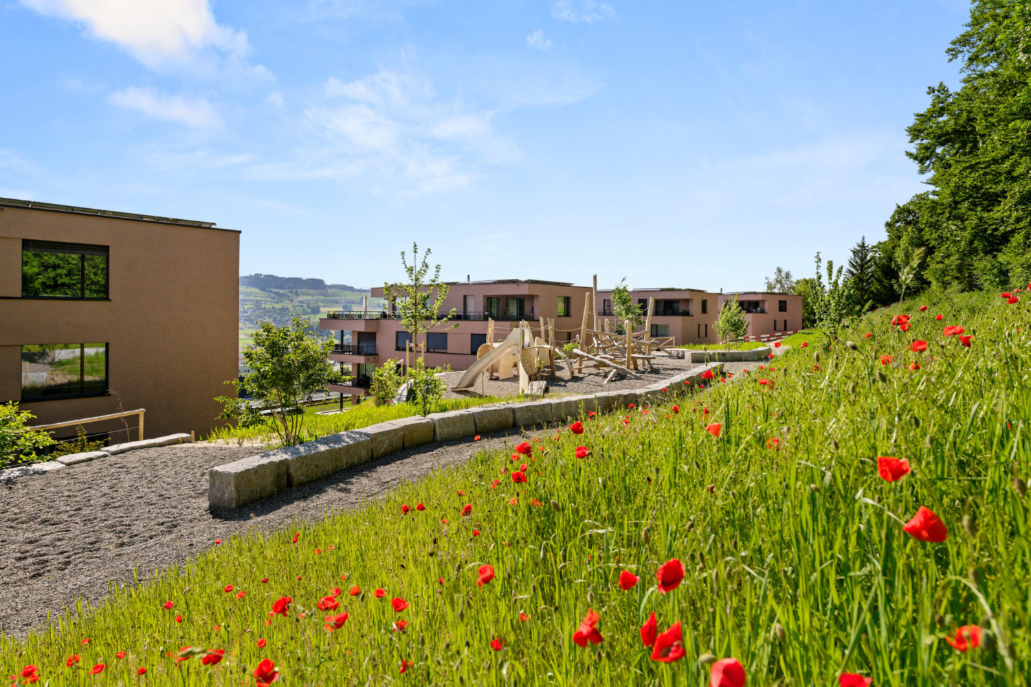 Aufenthaltsfläche am Waldrand