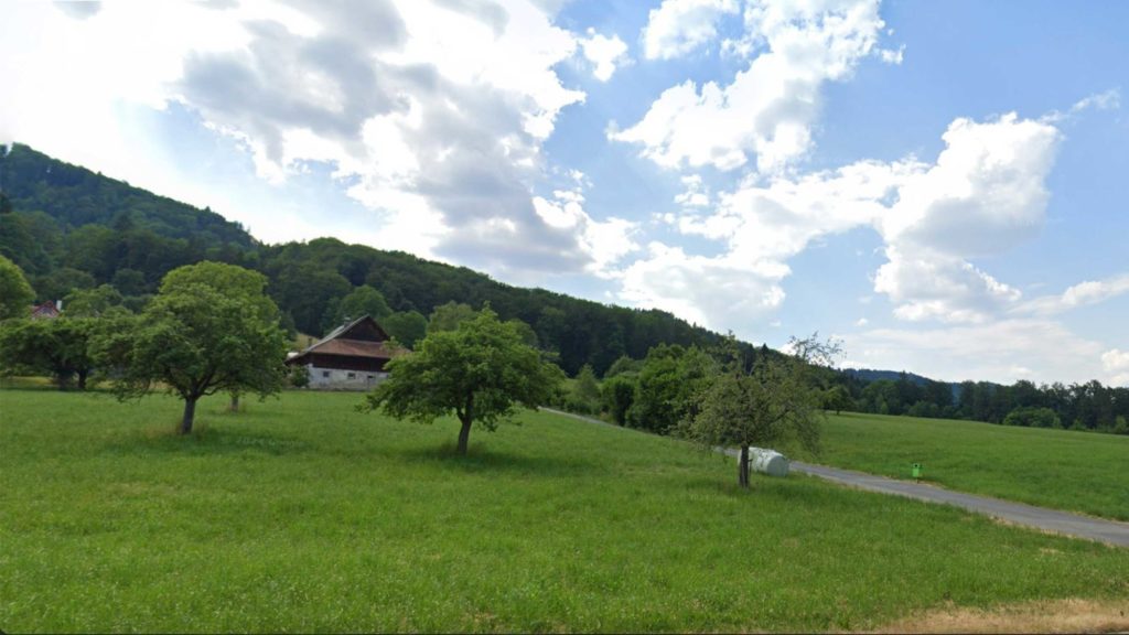 Wohnen mit Blick ins Grüne in Langnau am Albis - Albis-Rinderweid