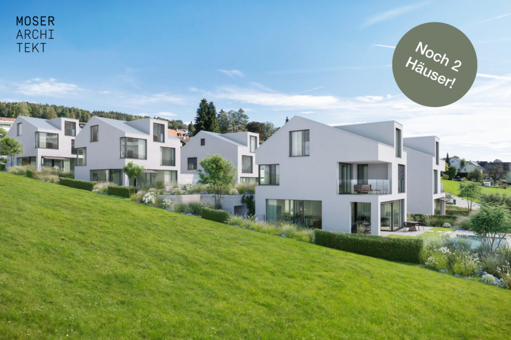 Natur. Weitsicht. Zuhause. «LIORA» in Remetschwil - Aussenvisualisierung