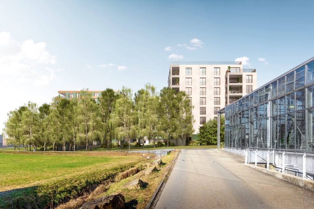 Erstvermietung 1.5-Zimmer-Wohnung in Affoltern am Albis - Bild 2