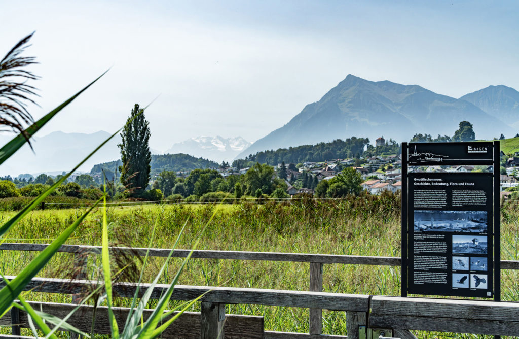 Eigentumswohnungen in Gwatt bei Thun - casa_immobilien_impressionen_gwatt_gwattlischenmoos_bethae_013