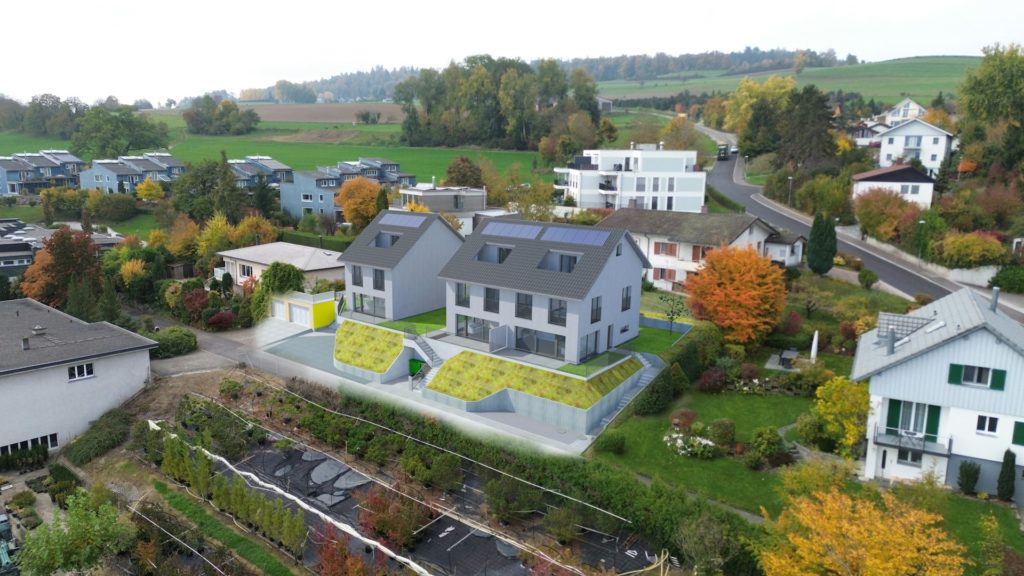 Einfamilienhaus und Doppel-EFH in Dielsdorf - Visualisierung