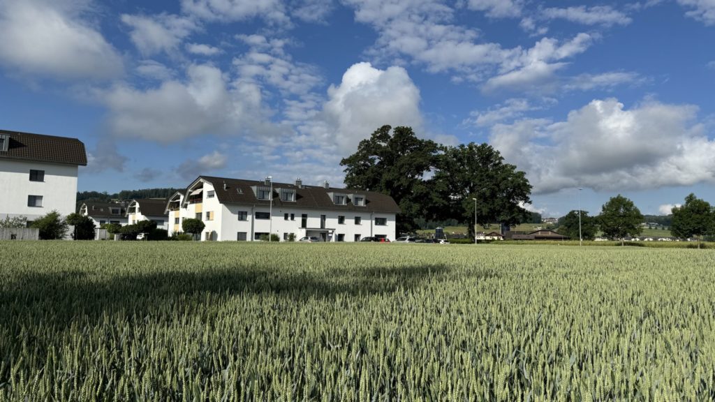 Waltpark - 4.5-Zimmer-Eigentumswohnung in Waltenschwil -  Bild 6