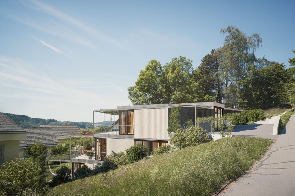 4 exklusive Eigentumswohnungen in Wettswil - 3D Architektur Visualisierung