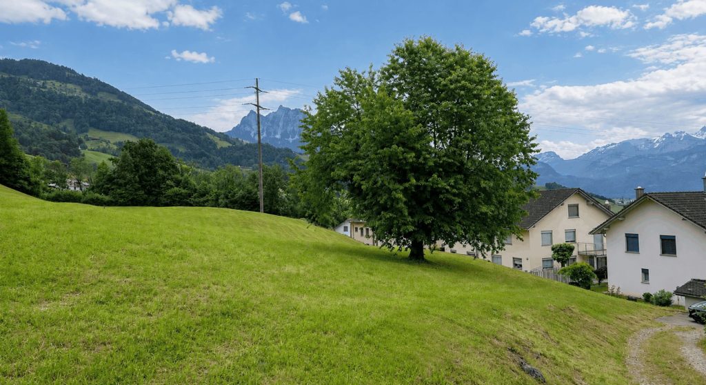 Neubau Eigentumswohnungen in Steinen SZ - 1661f946-c6c0-4744-bcdc-c059cf99124f (1)