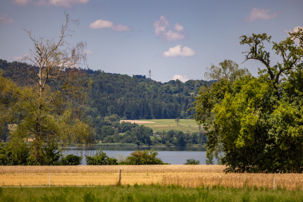 11 exklusive Eigentumswohnungen in Uster - 6a68b6d23b607daa013bb04b_Uster_6Z7A2790
