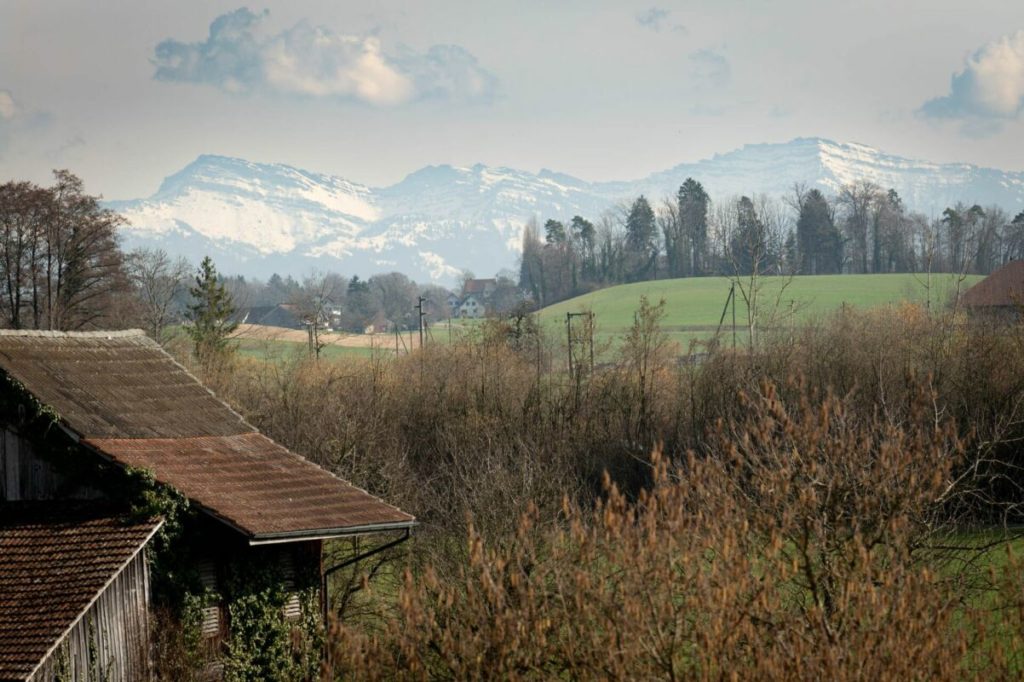 BAUSTART IST ERFOLGT «Dorf Ottikon»: Freiraum und Wohnauswahl in einzigartigem Ensemble - Bild 12