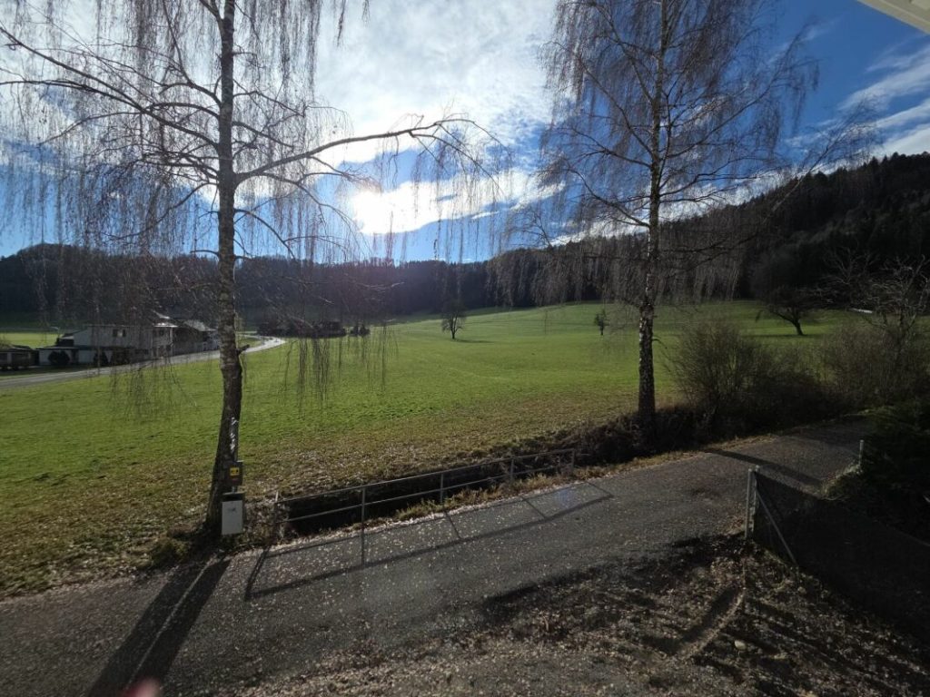 Zu verkaufen in 8362 Itaslen bei Balterswil, neues 5½ Zi.-EFH, an unverbaubarer Lage angrenzend an Landwirtschaftszone, mit Weitsicht auf Wiese ! -  Bild 26