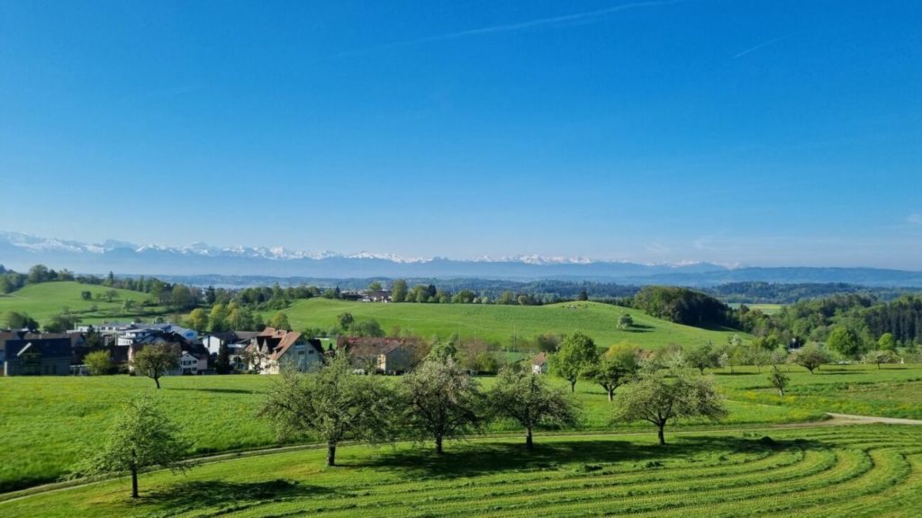 Dachwohnung mit grandiosem Bergpanorama -  Bild 1