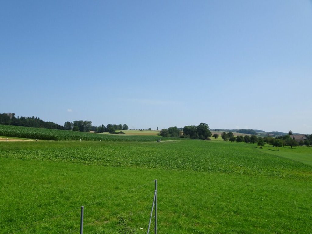 Bestens besonntes Bauland an unverbaubarer Lage -  Bild 6