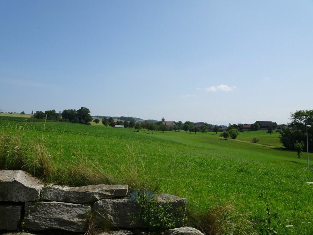 Bestens besonntes Bauland an unverbaubarer Lage -  Bild 11