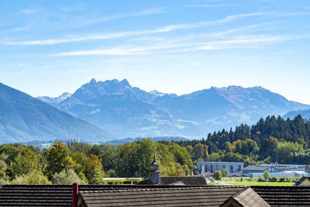 3.5 Zimmer-Neubau Eigentumswohnung (W2) - Aussicht Richtung Osten