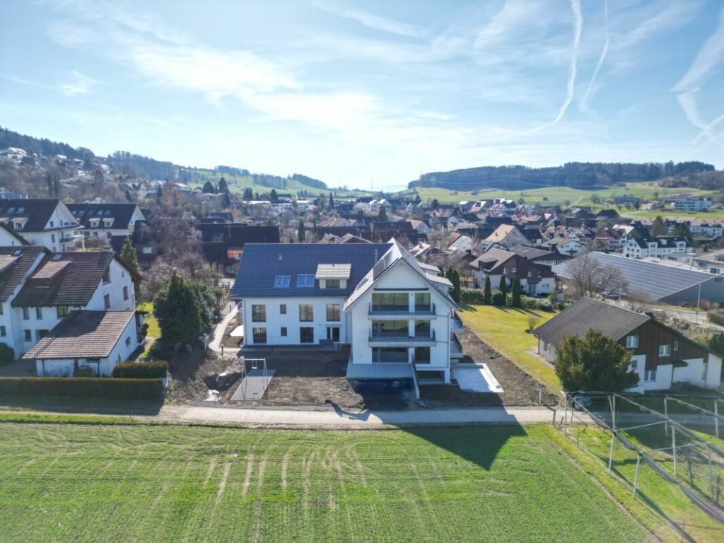 Geniessen Sie die Aussicht über die Dächer von Aesch ZH - Bild 12